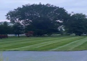 SOUTH SHORE BUSINESS REVIEW - landscape