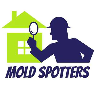 SOUTH SHORE BUSINESS REVIEW - mold spotters logo